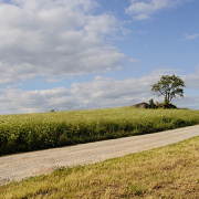 Cesta do Bavor